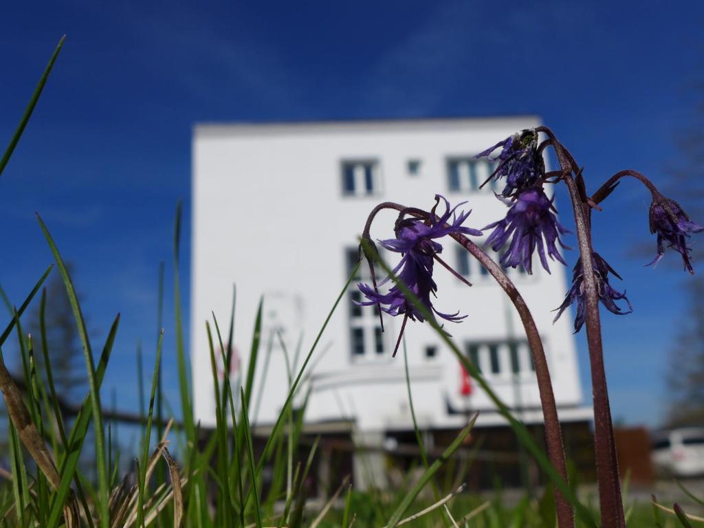 Vila Emma Strbske Pleso Bagian luar foto